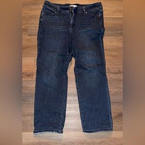 Lane Bryant Men's Dark Blue Straight Jeans